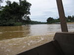 Kuala Tahan river - boat ride into Tmn Negara