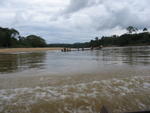 Kuala Tahan river - boat ride into Tmn Negara 3
