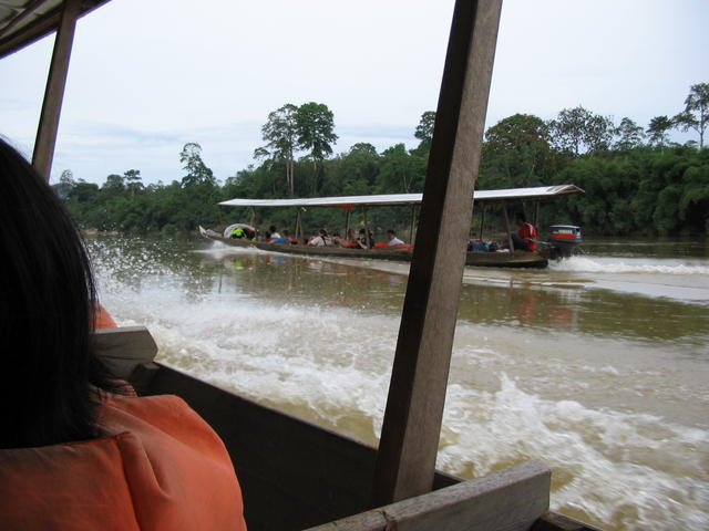 Kuala Tahan river - boat ride into Tmn Negara 7