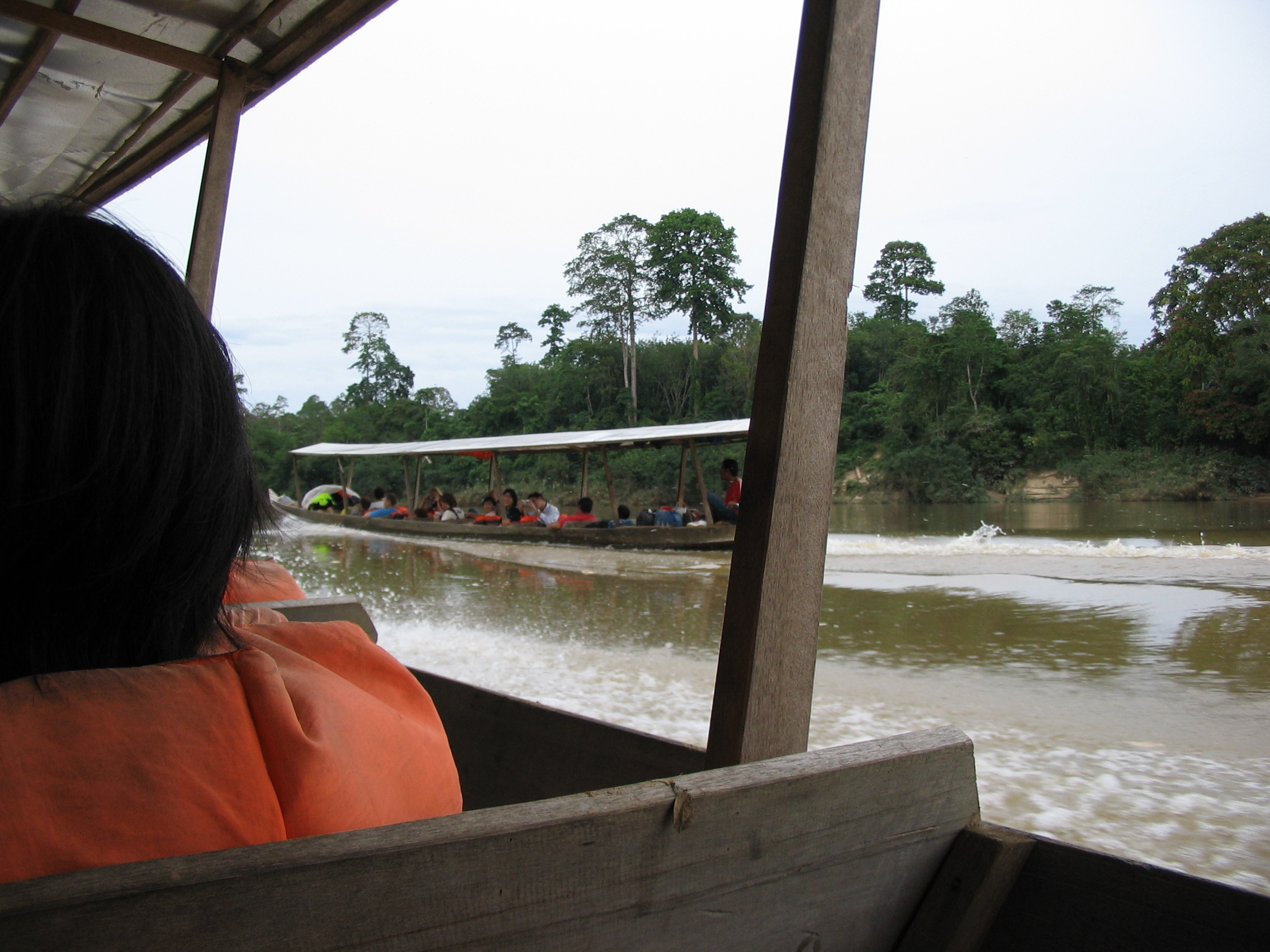 Kuala Tahan river - boat ride into Tmn Negara 8