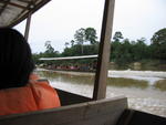 Kuala Tahan river - boat ride into Tmn Negara 8