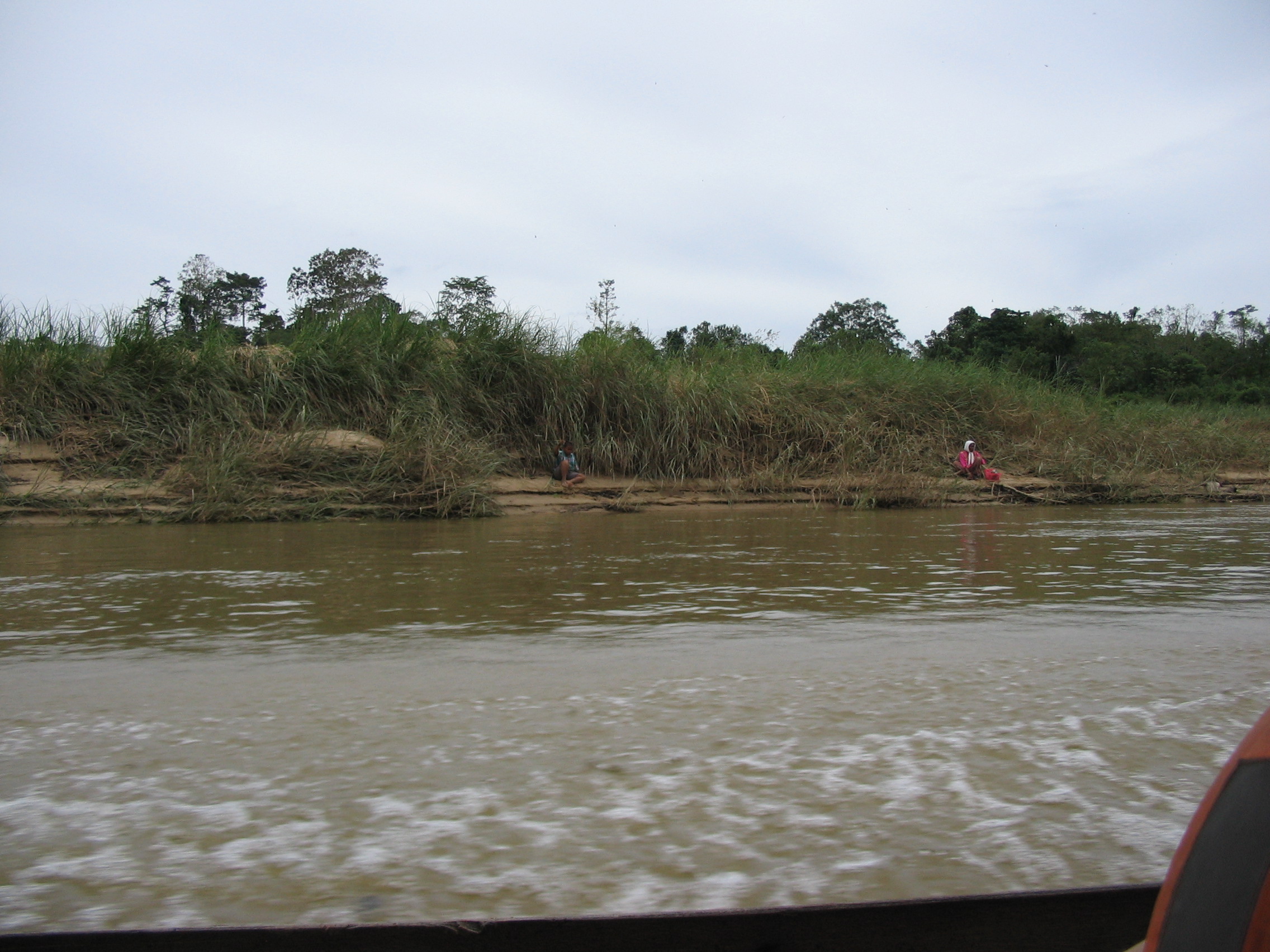 Kuala Tahan River on the way to Tmn Negara park