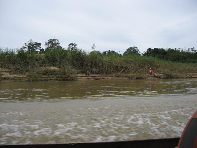 Kuala Tahan River on the way to Tmn Negara park