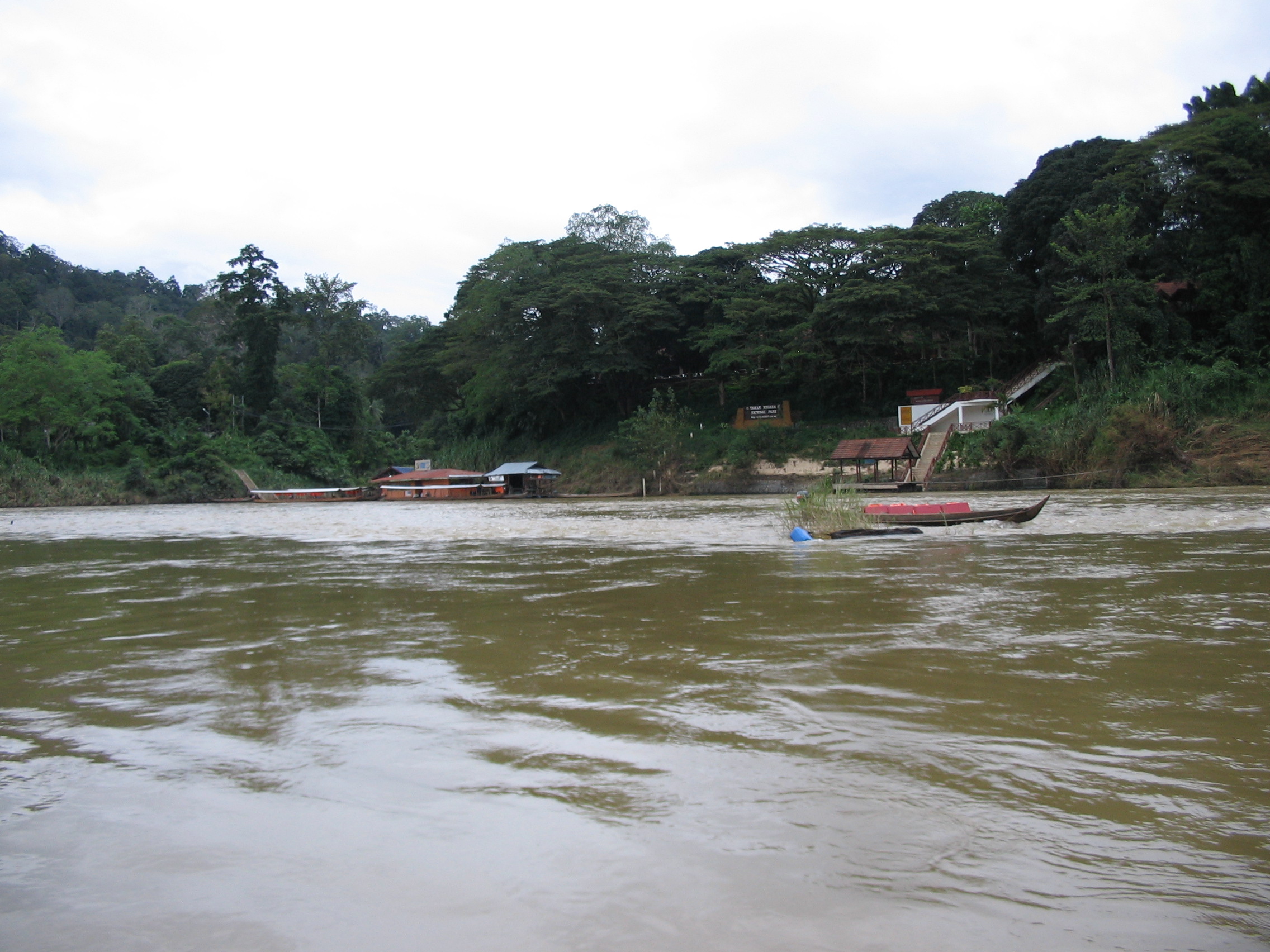 Kuala Tahan River on the way to Tmn Negara park 2