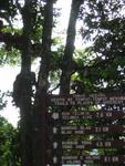 Monkeys on Signboards at Mutiara Resort on National Park