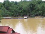 Tembeling Jetty-boat ride into Tmn Negara 5