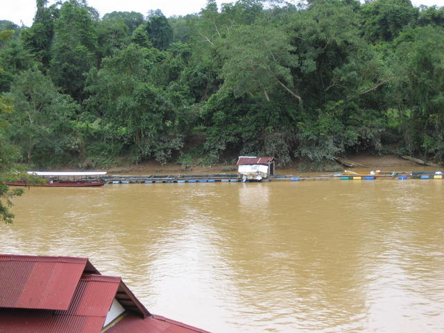 Tembeling Jetty-boat ride into Tmn Negara 5