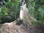Tmn Negara national park 4