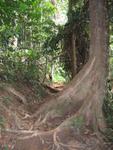 Tmn Negara national park 7