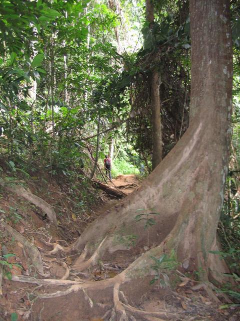 Tmn Negara national park 7