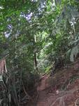 Tmn Negara national park 9
