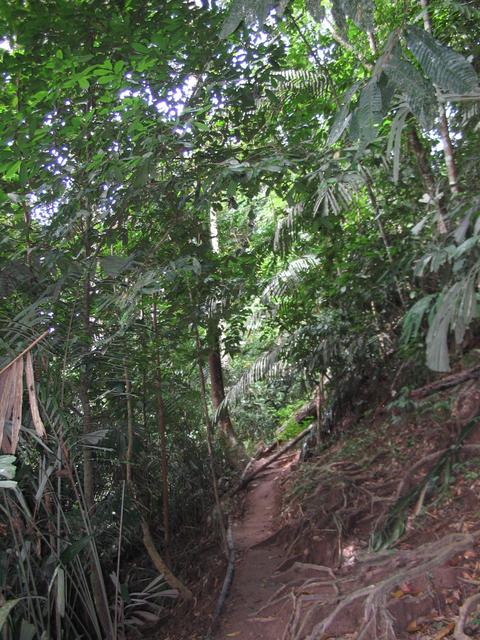 Tmn Negara national park 9
