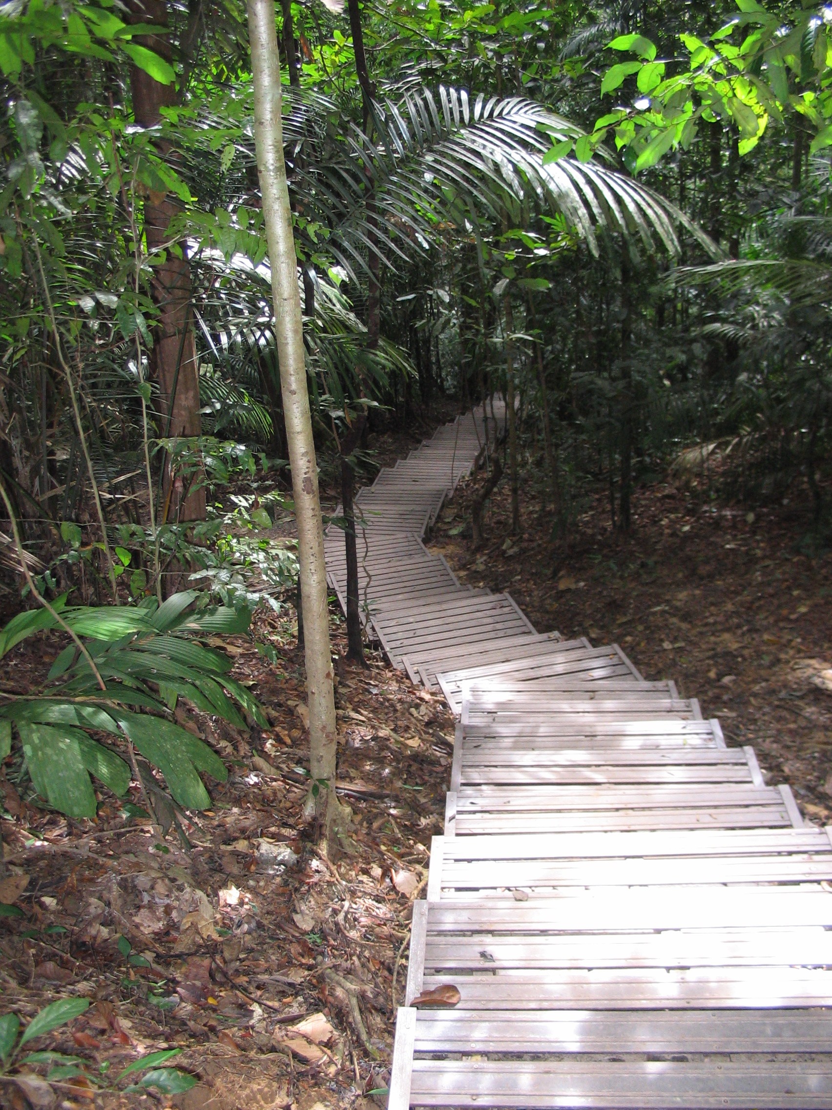 Tmn Negara national park 10