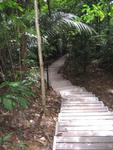 Tmn Negara national park 10