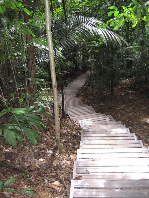 Tmn Negara national park 10