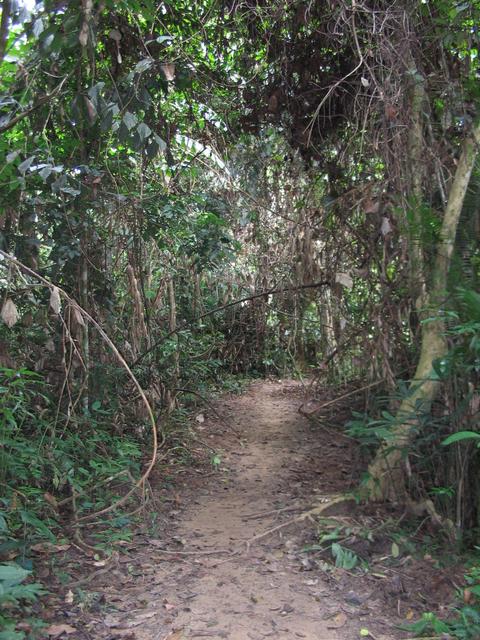 Tmn Negara national park trek