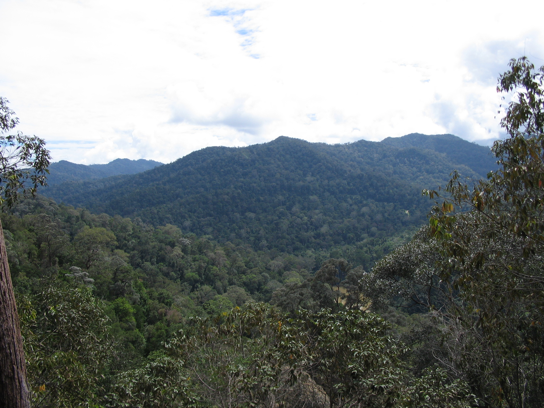 Tmn Negara national park-Bukit Teresik