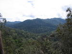 Tmn Negara national park-Bukit Teresik