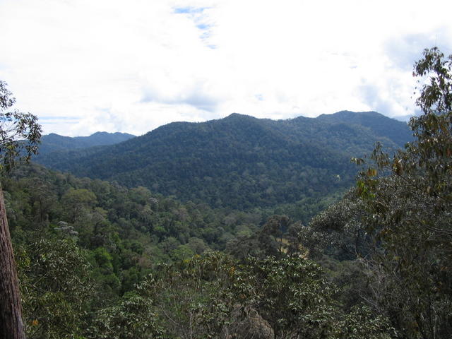 Tmn Negara national park-Bukit Teresik