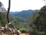 Tmn Negara national park-Bukit Teresik 2