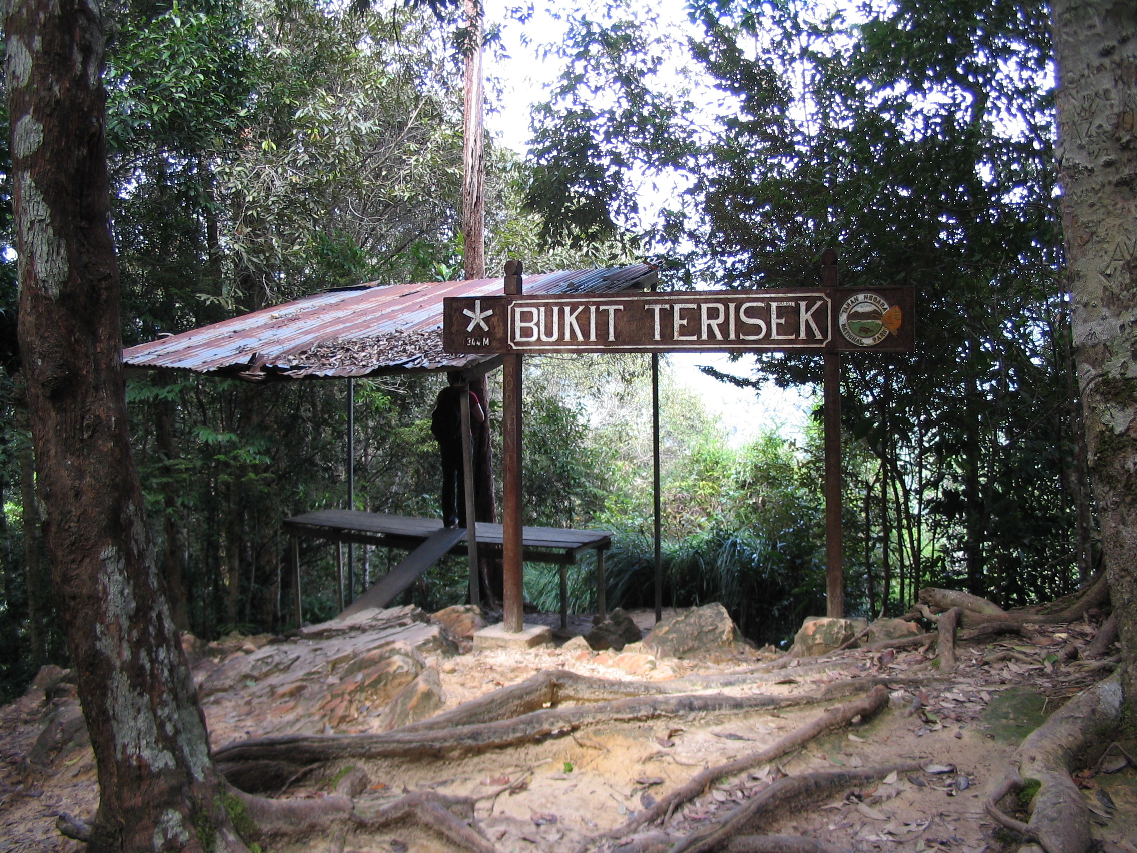 Tmn Negara national park-Bukit Teresik 3