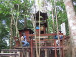 Tmn Negara national park-canopy walk