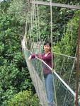 Tmn Negara national park-canopy walk 3