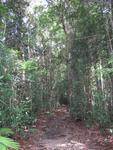 Tmn Negara national park-trek 5
