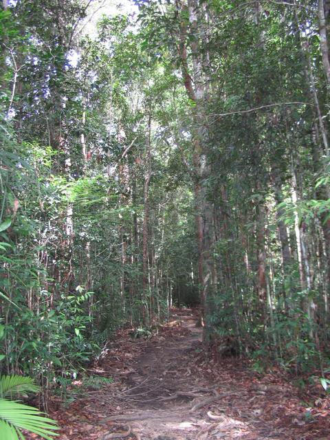 Tmn Negara national park-trek 5