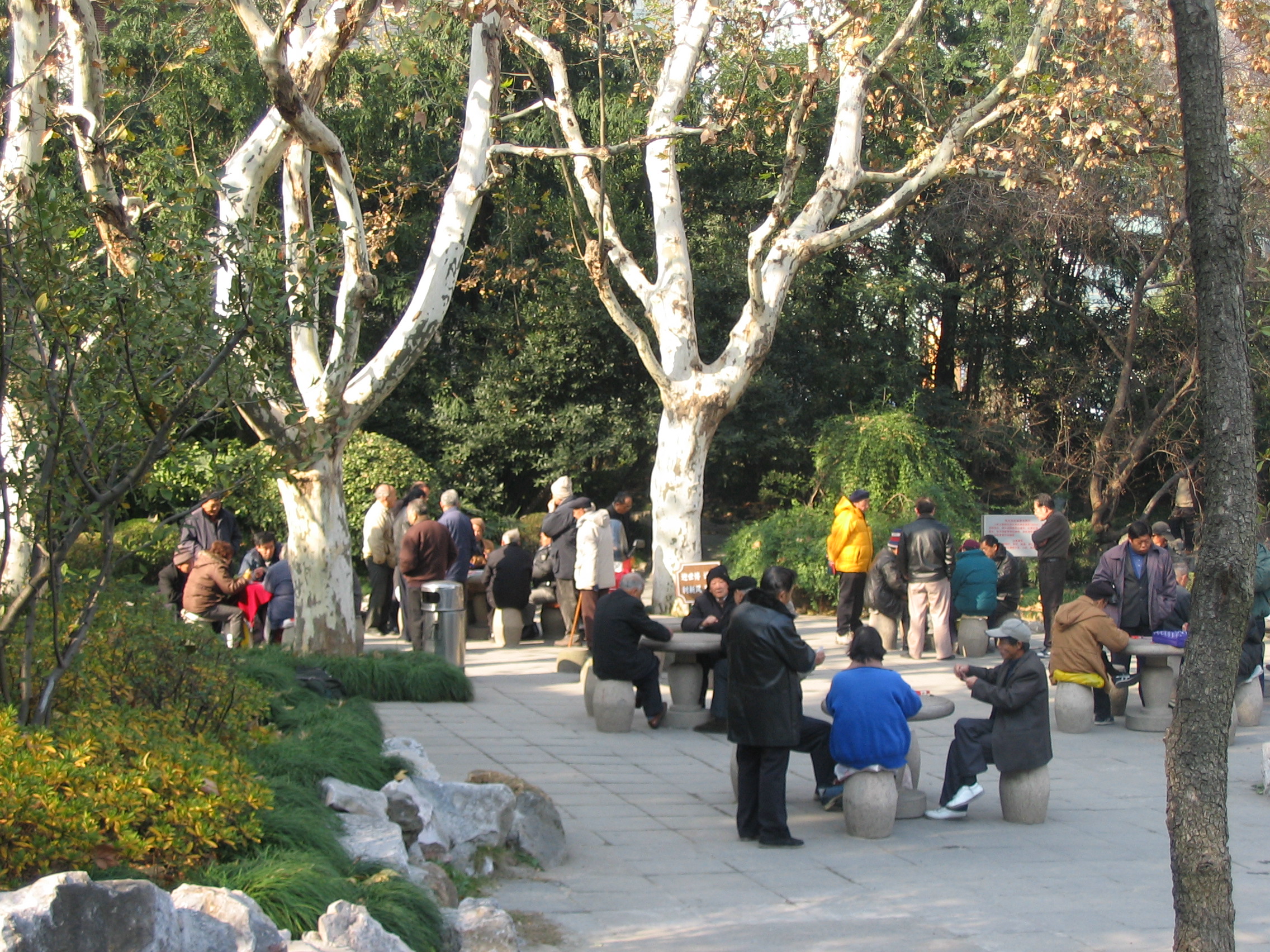 Shanghai People's Park 2