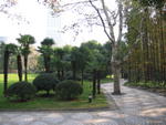Shanghai People' Park 2