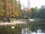 Shanghai People's Park Lake