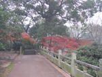 Hangzhou - Liuhe Pagoda Park