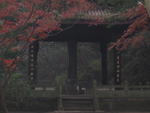 Hangzhou - Liuhe Pagoda Park 4