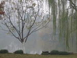 Hangzhou - The Great Lakes 6