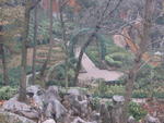 Hangzhou-Long Zheng Tea House 7