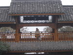 Hangzhou-Long Zheng Tea House 9