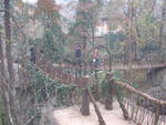 Hangzhou-Long Zheng Tea House  4