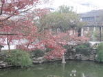 Suzhou-The Lion Gate Garden 4