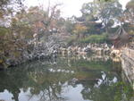 Suzhou-Lion Gate Garden 5