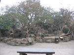 Suzhou-Lion Gate Garden 14